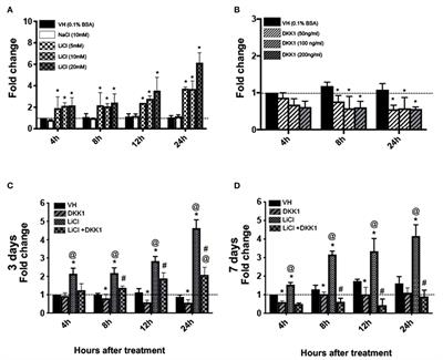 Lithium Chloride Exerts Differential Effects on Dentinogenesis and Osteogenesis in Primary Pulp Cultures